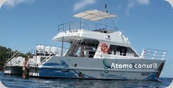 chantier naval antilles